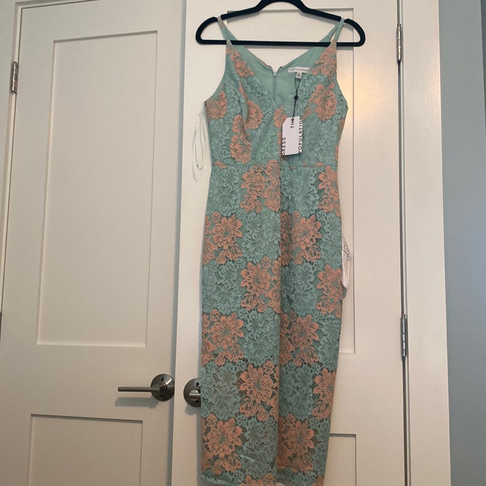 Dress The Population Size M midi pink and green lace dress